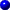 Blue Bullet